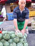 Setting out artichokes1.JPG